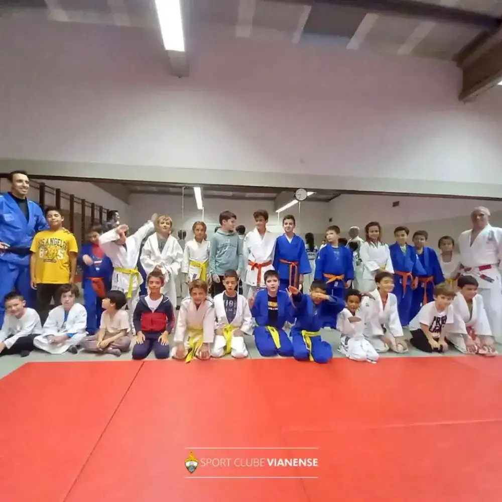Judo in Viana