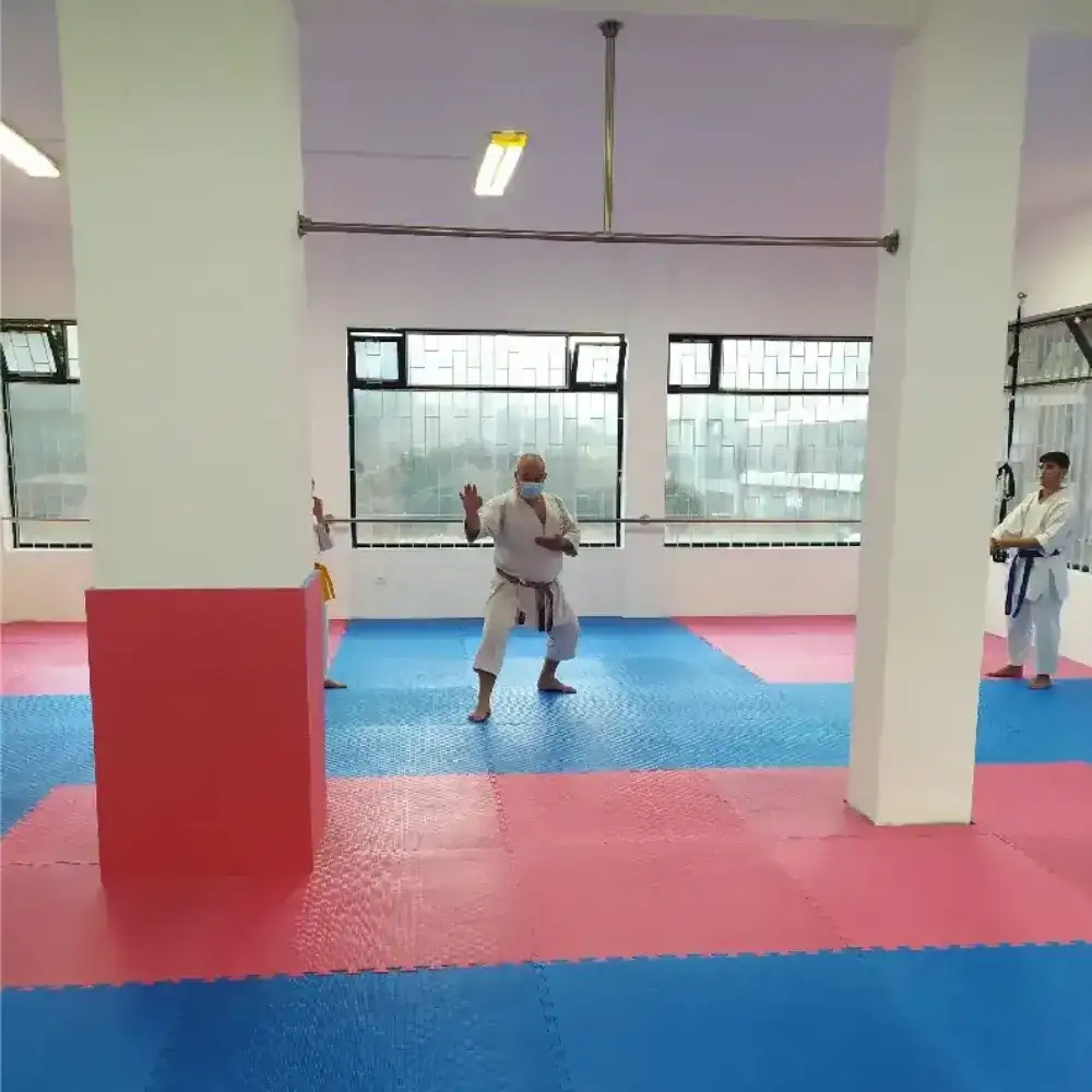 Karate Shotokan in Porto
