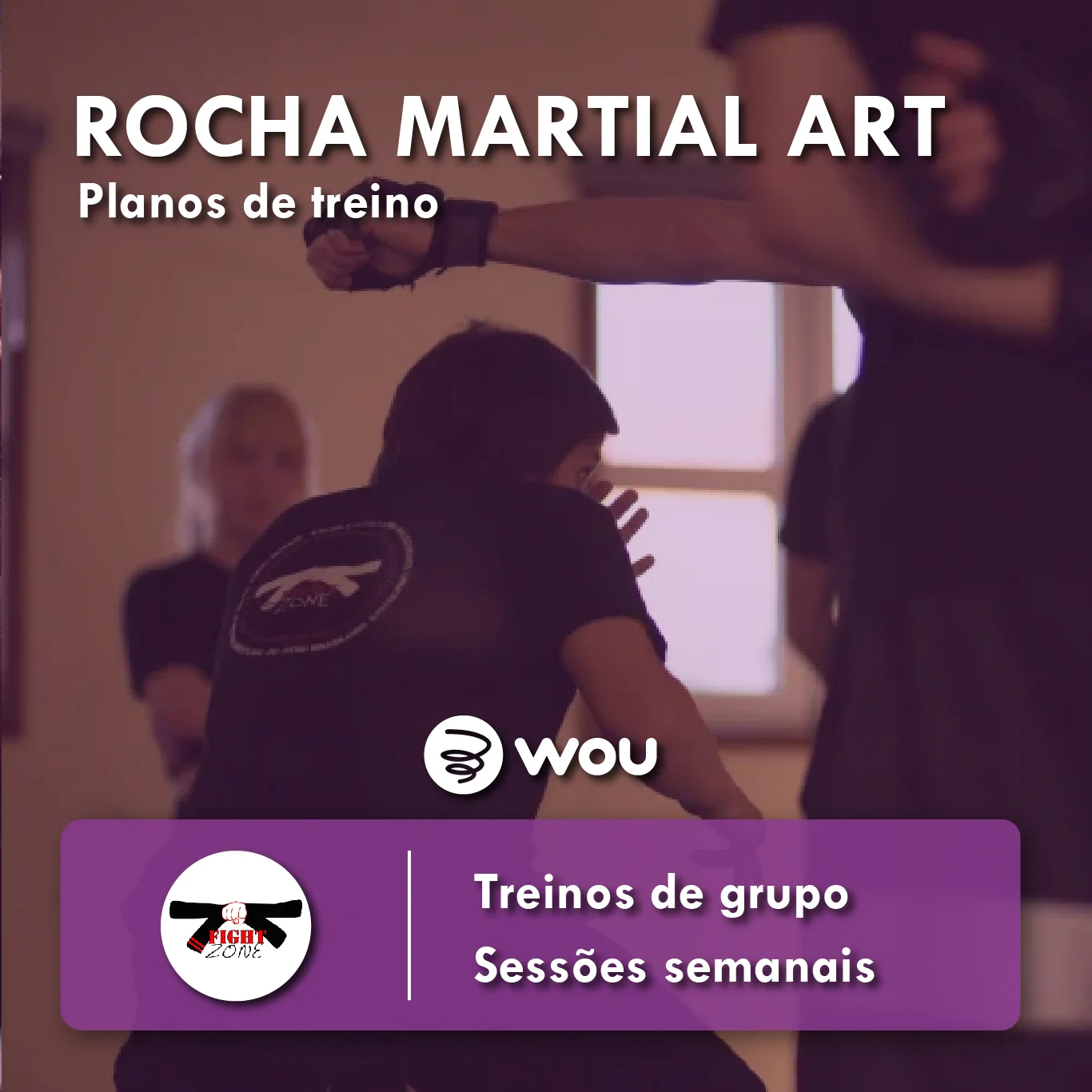 Aulas de Rocha Martial Art em Aveiro