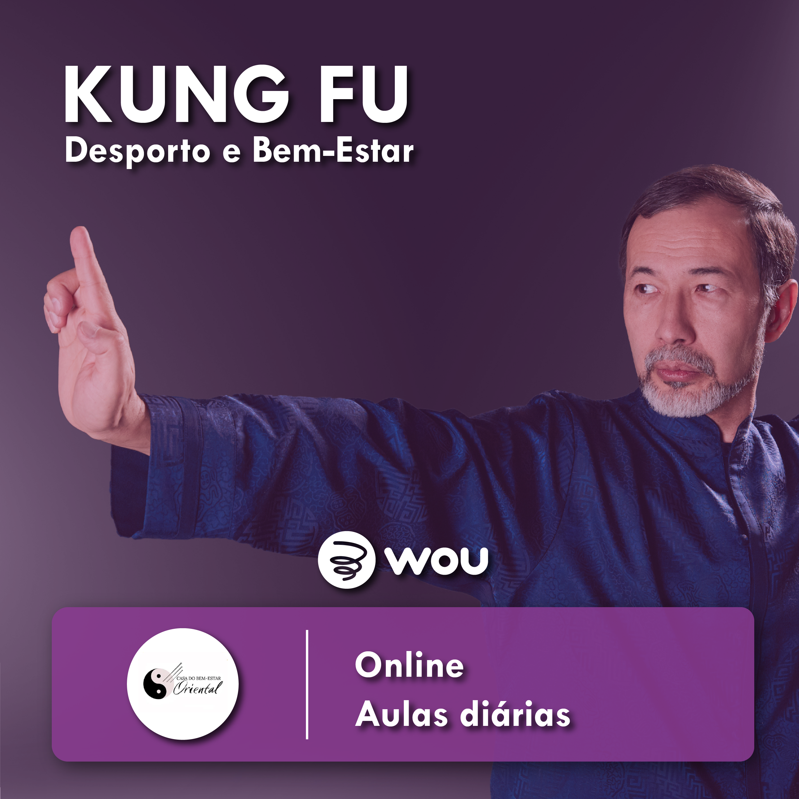 Aulas de Kung Fu Online