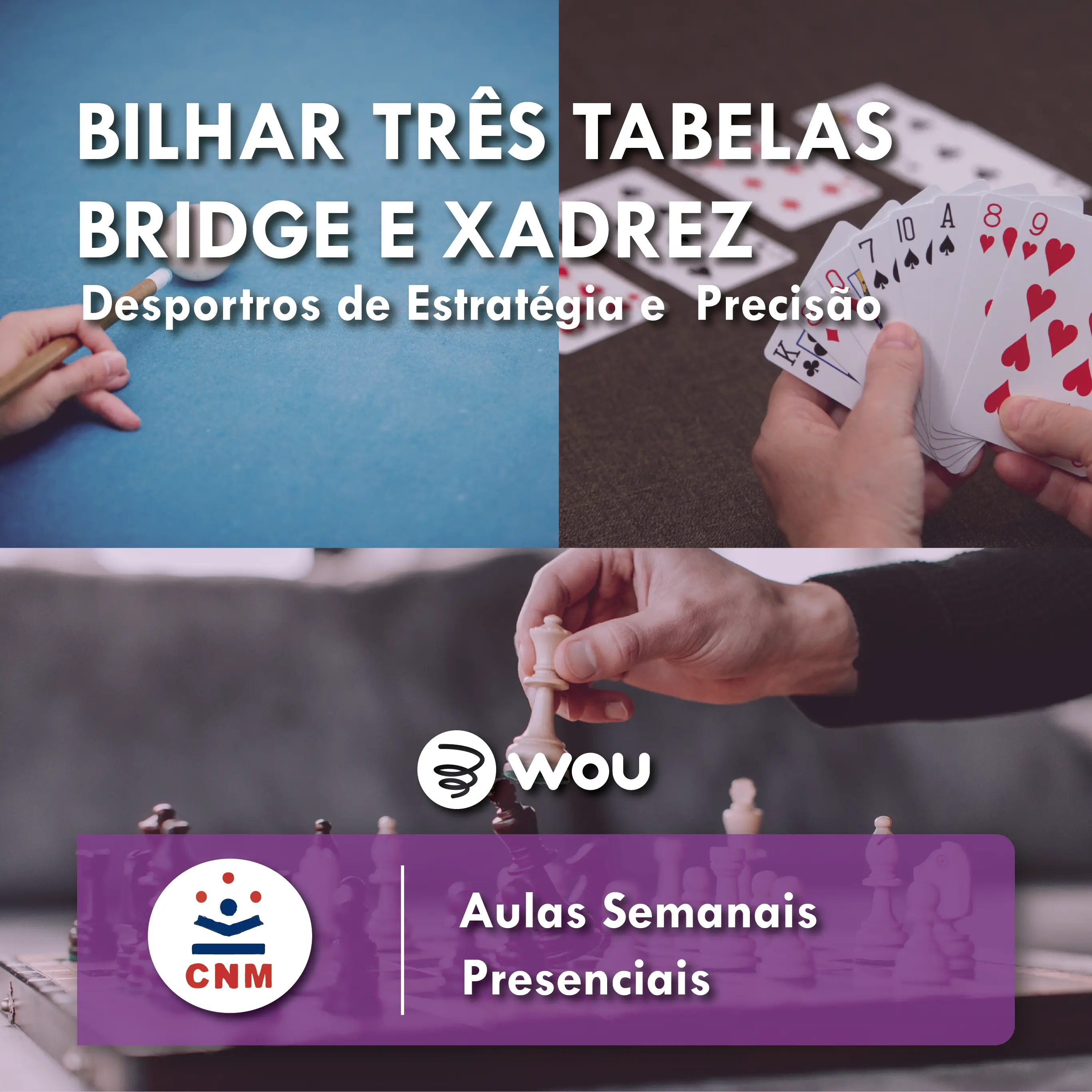 Three Table Billiards, Chess and Bridge Classes