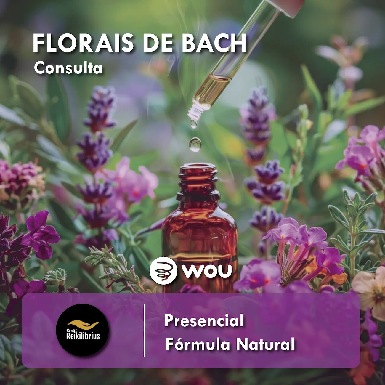 Bach Flower Consultation in Aveiro